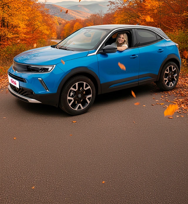 <p>TikTak Dakikalık ve Günlük Araç Kiralama</p>