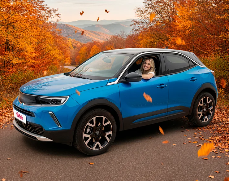 TikTak Dakikalık ve Günlük Araç Kiralama